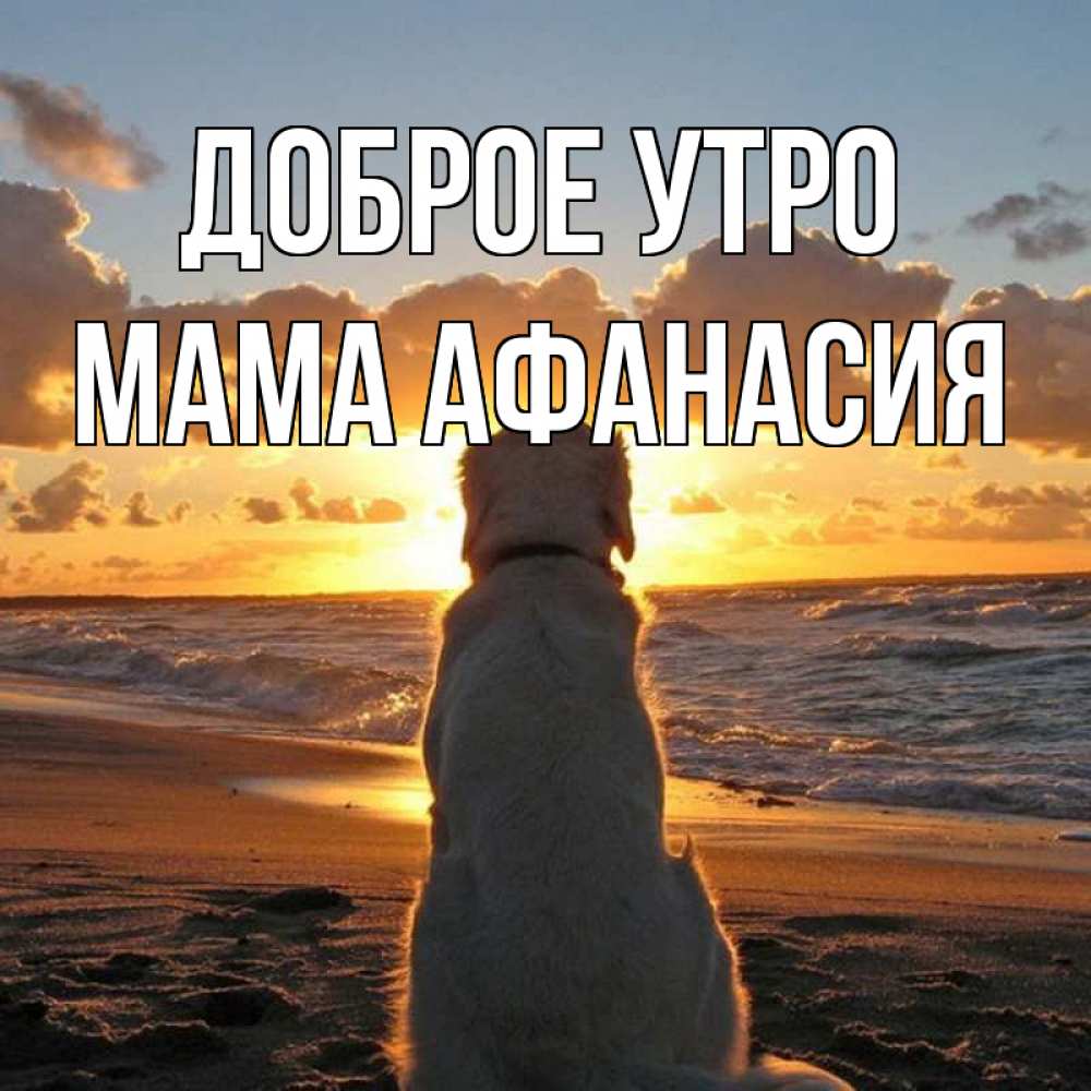 Открытка на каждый день с именем, Мама-Афанасия Доброе утро восход солнца Прикольная открытка с пожеланием онлайн скачать бесплатно 