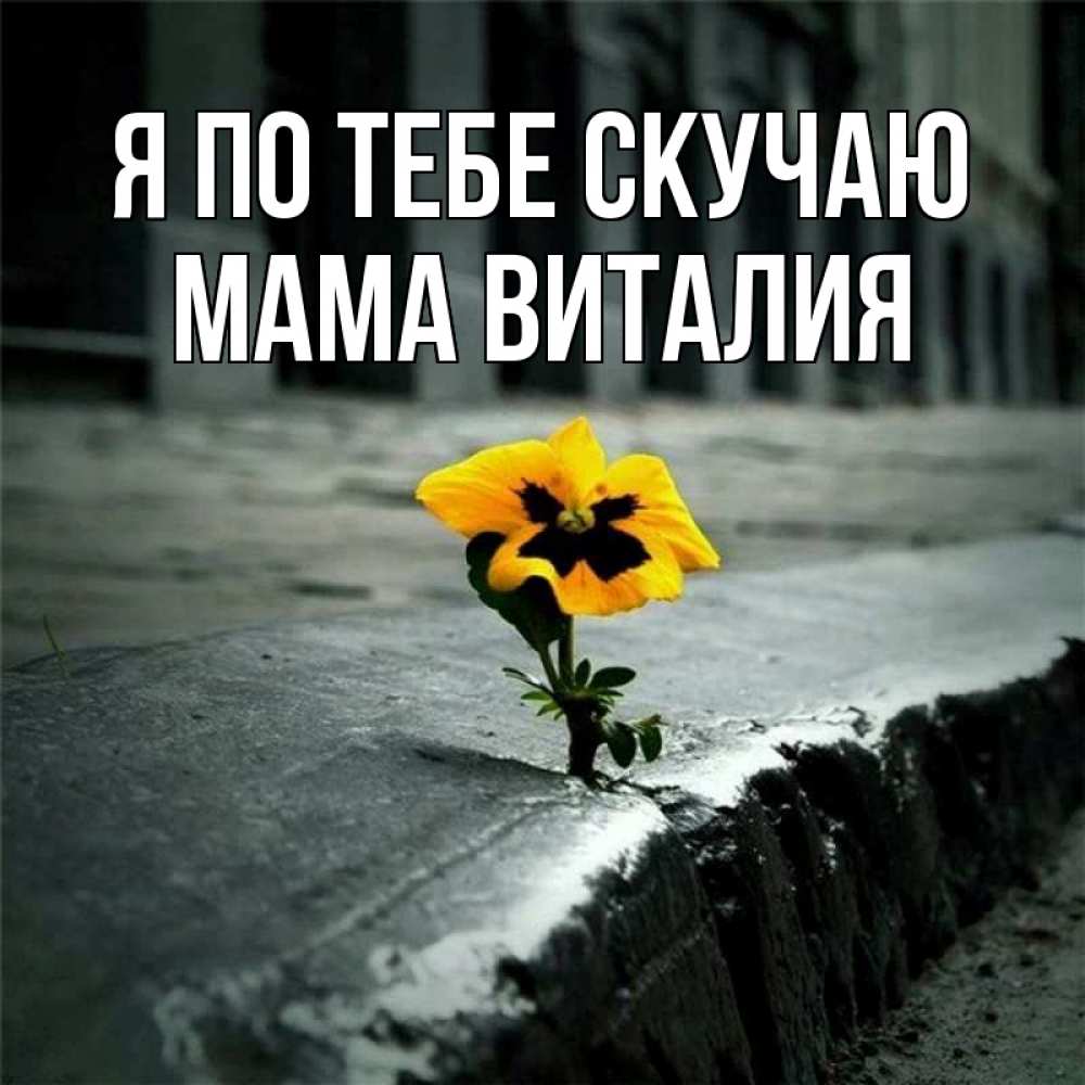 Открытка на каждый день с именем, Мама-Виталия Я по тебе скучаю надеюсь будет лучше Прикольная открытка с пожеланием онлайн скачать бесплатно 