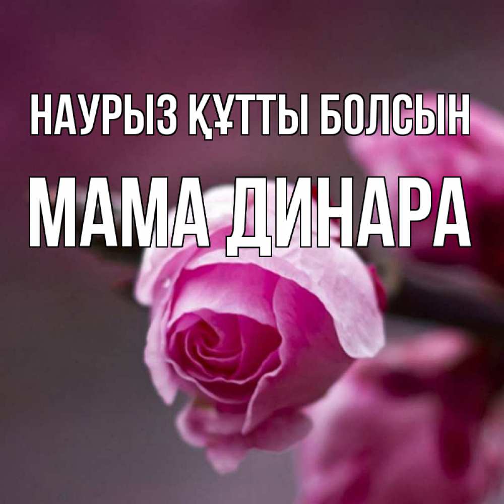 Открытка на каждый день с именем, Мама-Динара Наурыз құтты болсын весна Прикольная открытка с пожеланием онлайн скачать бесплатно 