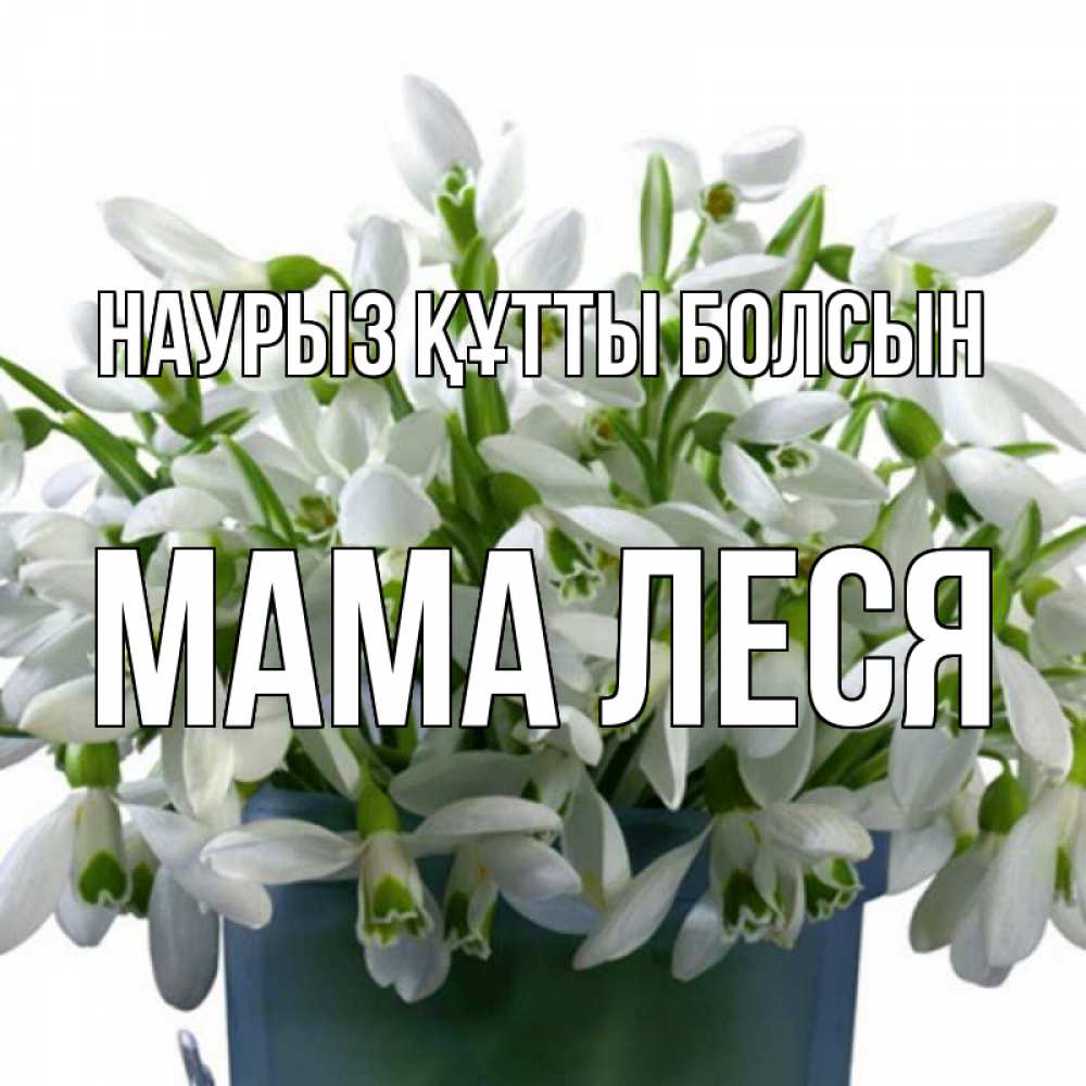 Открытка на каждый день с именем, Мама-Леся Наурыз құтты болсын цветы к наурызу Прикольная открытка с пожеланием онлайн скачать бесплатно 