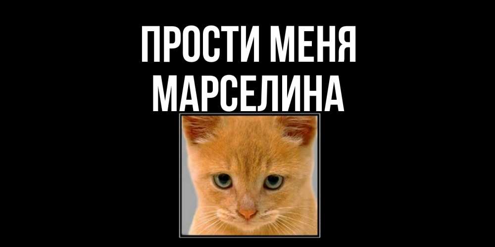 Открытка на каждый день с именем, Марселина Прости меня рыжий грустный кот просит прощения Прикольная открытка с пожеланием онлайн скачать бесплатно 