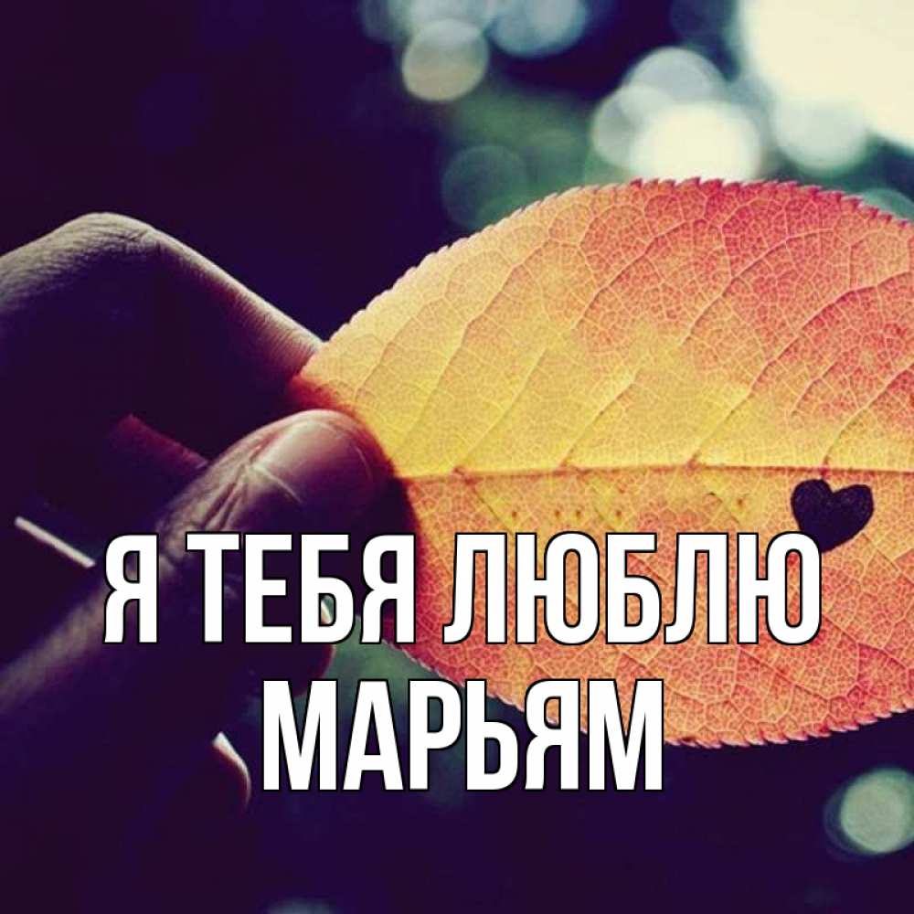 Открытка на каждый день с именем, Марьям Я тебя люблю держу лист Прикольная открытка с пожеланием онлайн скачать бесплатно 