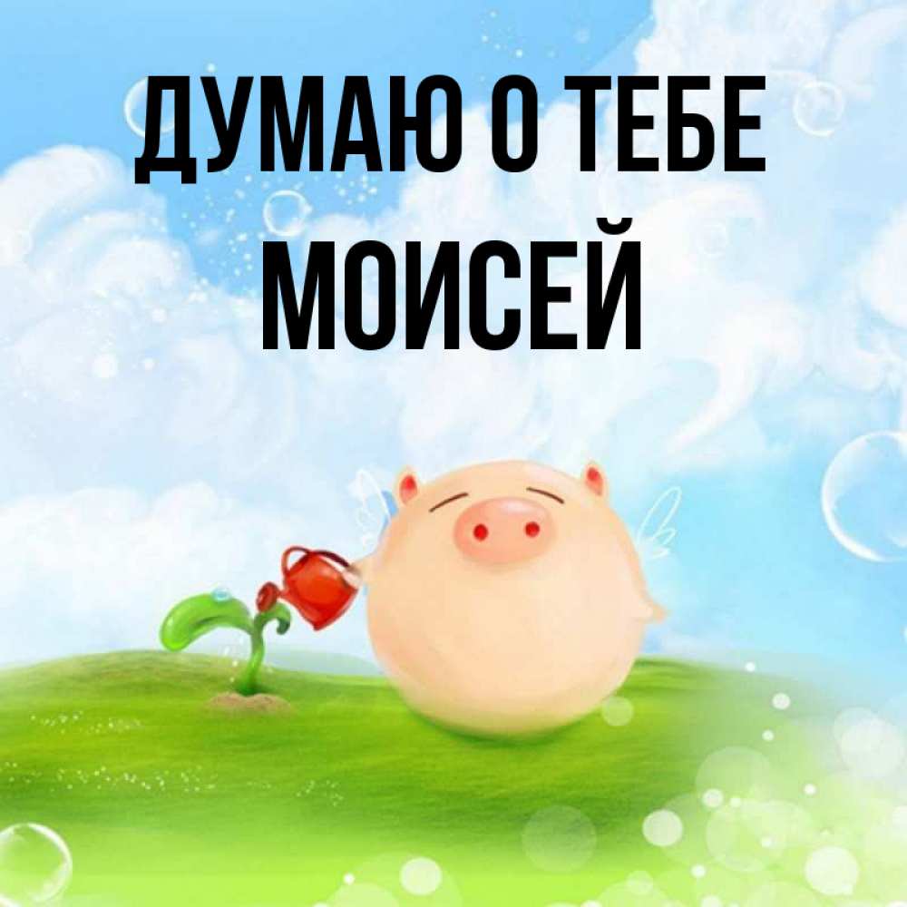 Открытка на каждый день с именем, Моисей Думаю о тебе позитивная свинюшка Прикольная открытка с пожеланием онлайн скачать бесплатно 