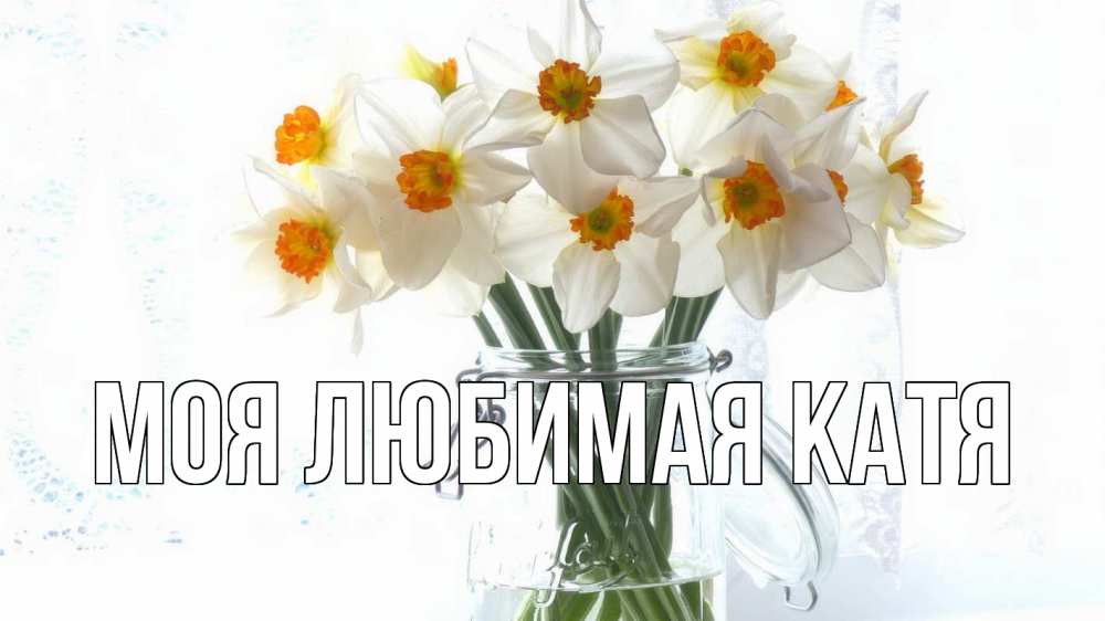 Открытка на каждый день с именем, Моя-любимая-Катя Главная с днем бухгалтера Прикольная открытка с пожеланием онлайн скачать бесплатно 