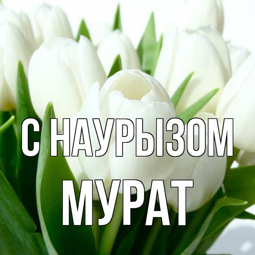 Открытка на каждый день с именем, Мурат С наурызом цветы Прикольная открытка с пожеланием онлайн скачать бесплатно 