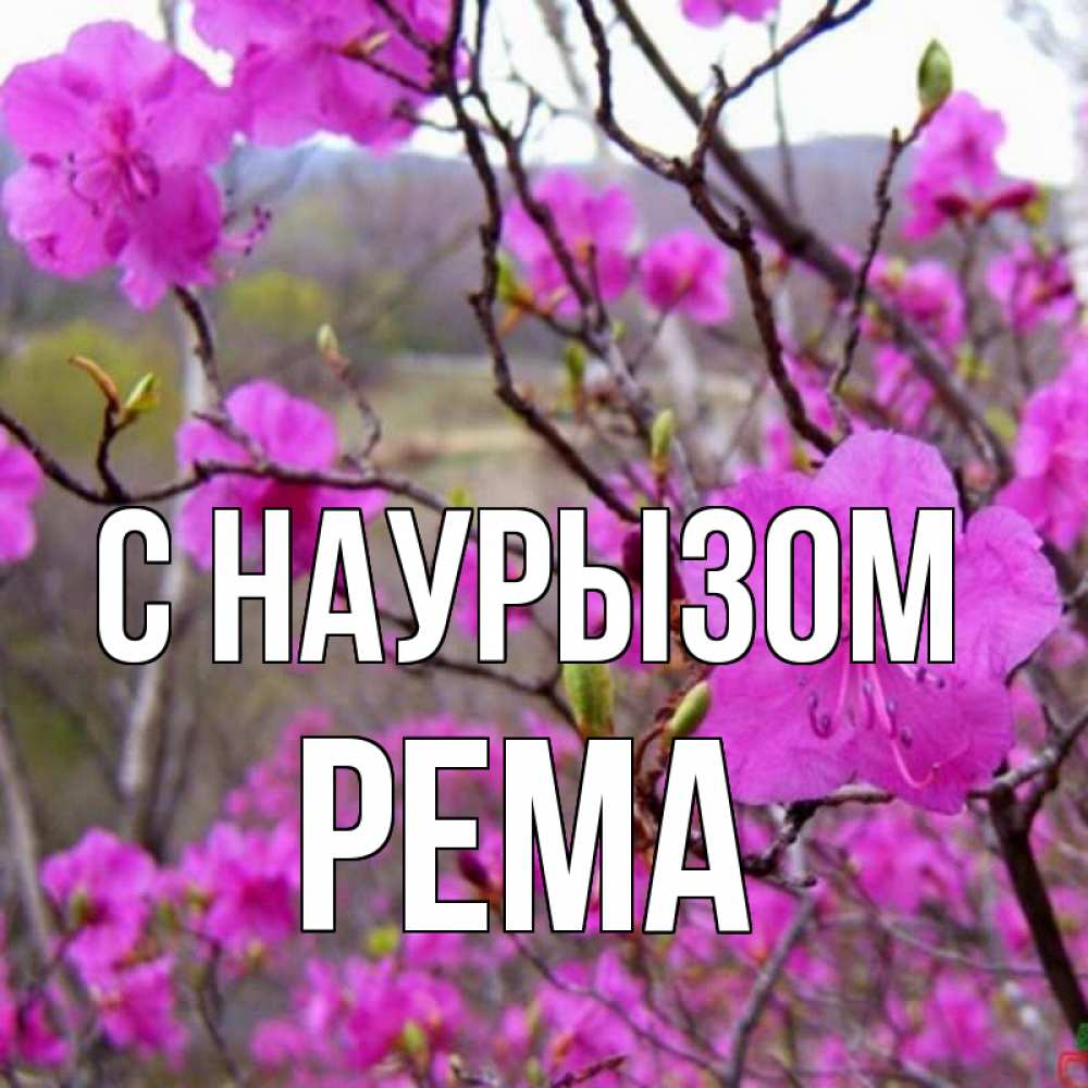 Открытка на каждый день с именем, Рема С наурызом праздник весны наурыз Прикольная открытка с пожеланием онлайн скачать бесплатно 