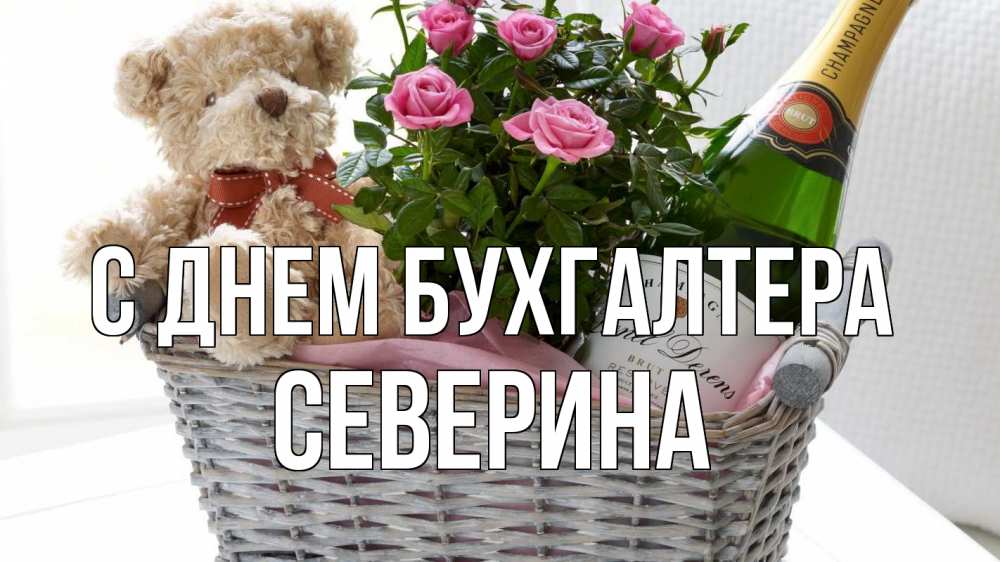 Открытка на каждый день с именем, Северина С днем бухгалтера с днем бухгалтера Прикольная открытка с пожеланием онлайн скачать бесплатно 