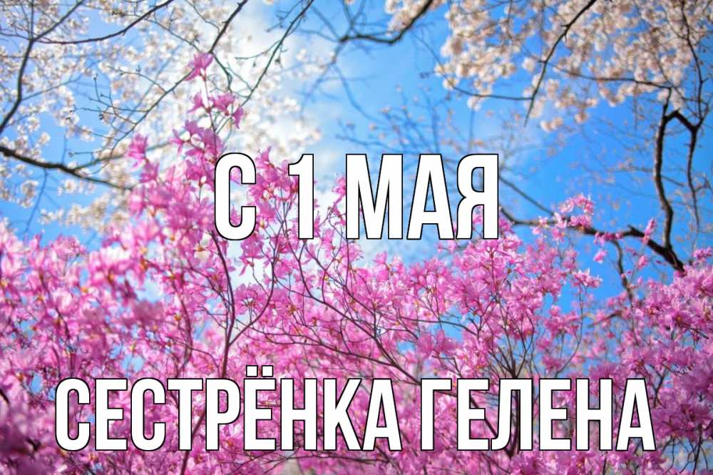 Открытка на каждый день с именем, Сестрёнка-Гелена С 1 мая С 1 мая Прикольная открытка с пожеланием онлайн скачать бесплатно 