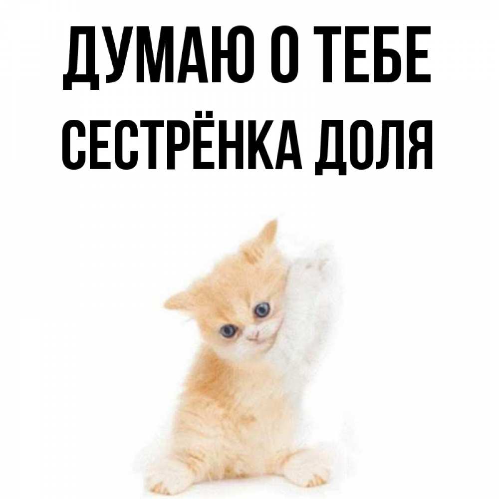 Открытка на каждый день с именем, Сестрёнка-Доля Думаю о тебе зверушки и милота Прикольная открытка с пожеланием онлайн скачать бесплатно 