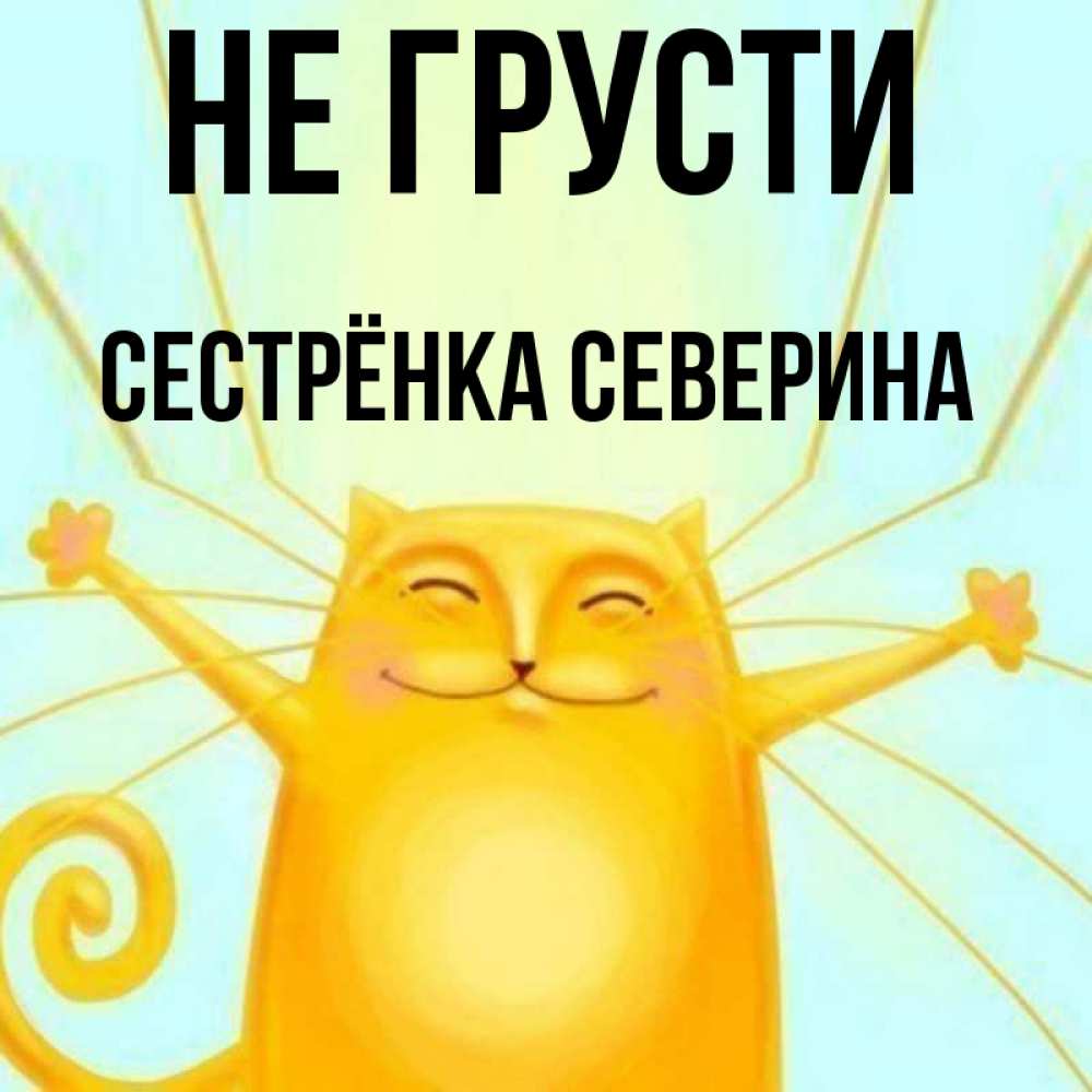 Открытка на каждый день с именем, Сестрёнка-Северина Не грусти обнимашки усатые Прикольная открытка с пожеланием онлайн скачать бесплатно 