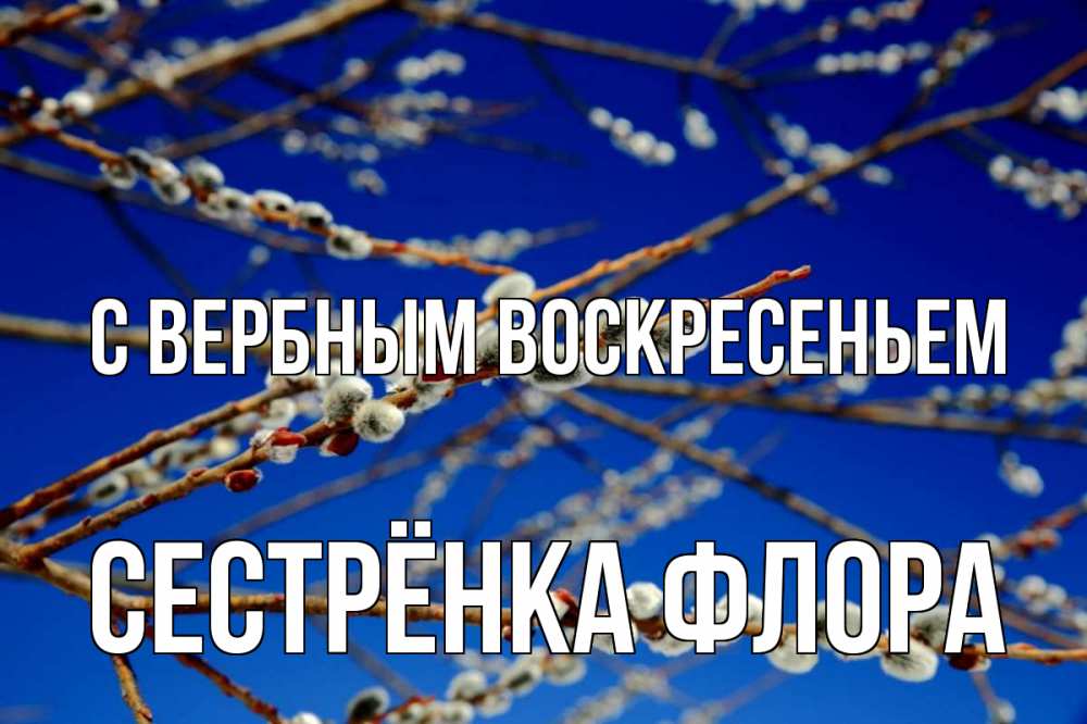 Открытка на каждый день с именем, Сестрёнка-Флора С вербным воскресеньем верба Прикольная открытка с пожеланием онлайн скачать бесплатно 