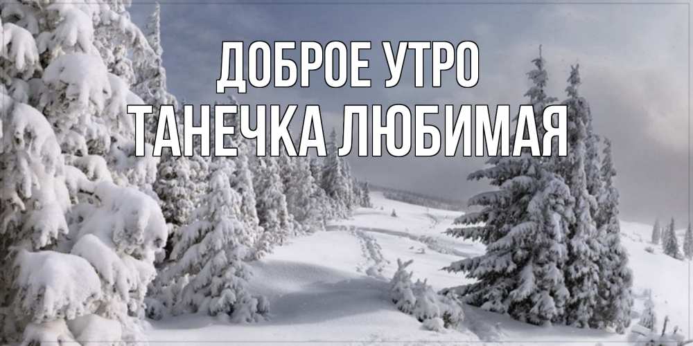 Открытка на каждый день с именем, Танечка-любимая Доброе утро пасмурное утро Прикольная открытка с пожеланием онлайн скачать бесплатно 