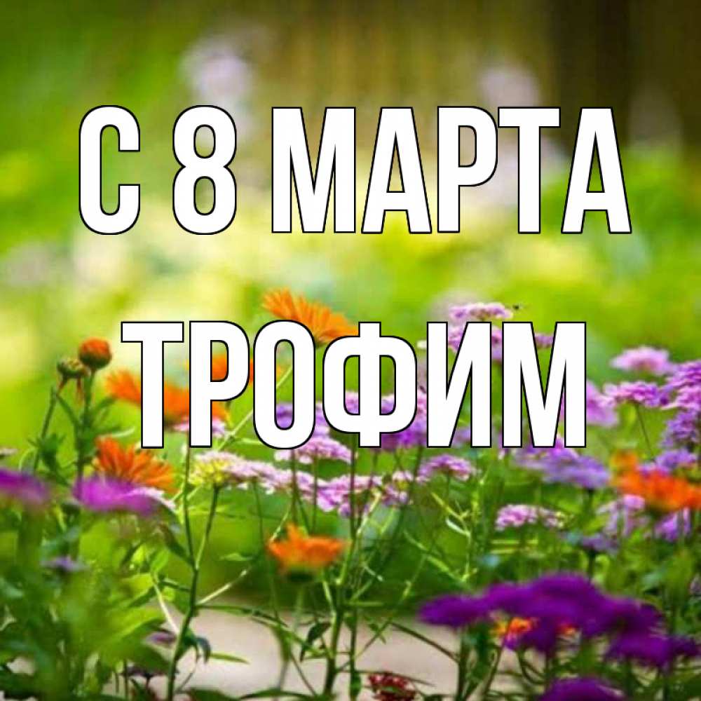 Открытка на каждый день с именем, Трофим С 8 МАРТА цветы Прикольная открытка с пожеланием онлайн скачать бесплатно 