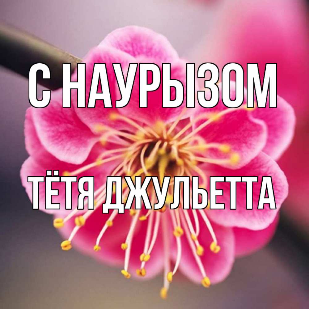 Открытка на каждый день с именем, Тётя-Джульетта С наурызом цветы Прикольная открытка с пожеланием онлайн скачать бесплатно 