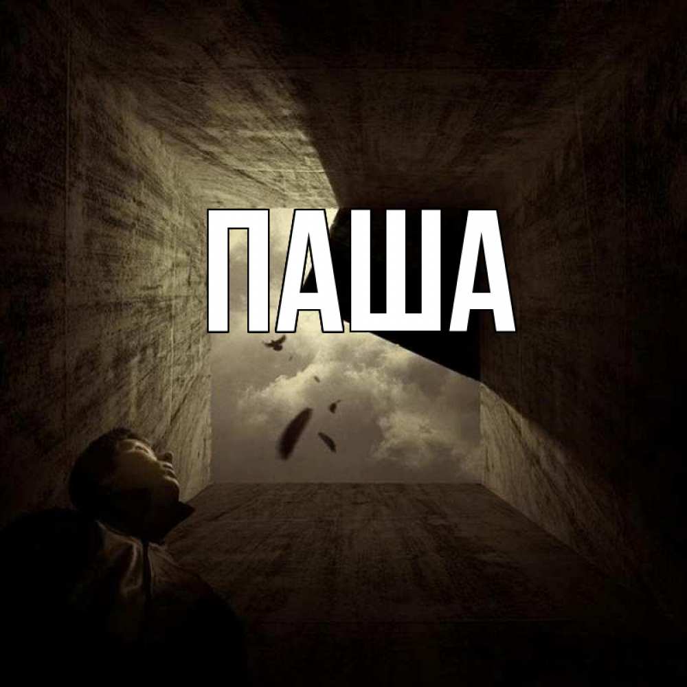 Открытка на каждый день с именем, паша Главная тут Прикольная открытка с пожеланием онлайн скачать бесплатно 
