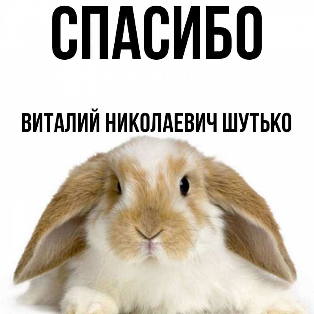 Виталик Картинки Прикольные