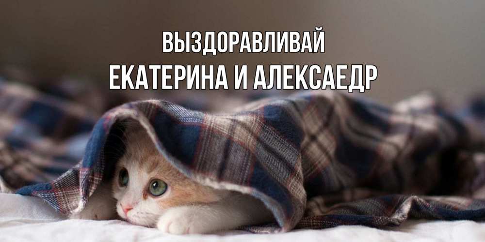 Открытка на каждый день с именем, Екатерина-и-Алексаедр Выздоравливай не болейте с котиком Прикольная открытка с пожеланием онлайн скачать бесплатно 