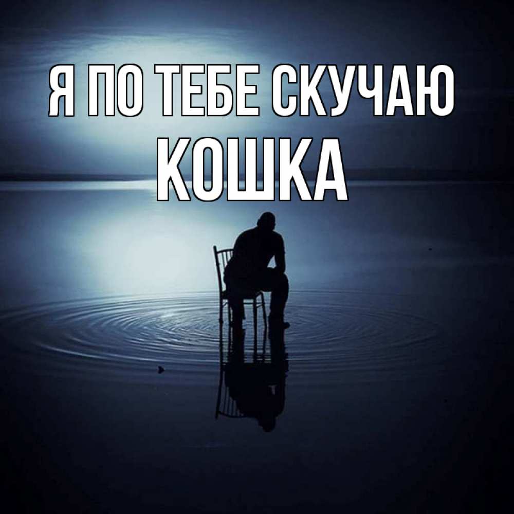 Открытка на каждый день с именем, Кошка Я по тебе скучаю грусть Прикольная открытка с пожеланием онлайн скачать бесплатно 