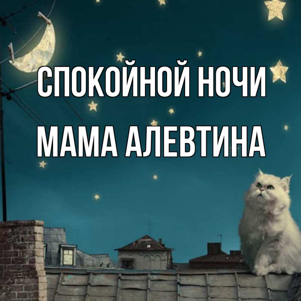 Открытка на каждый день с именем, Мама-Алевтина Спокойной ночи белый кот сидит на крыше Прикольная открытка с пожеланием онлайн скачать бесплатно 