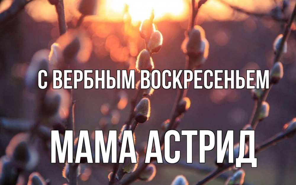 Открытка на каждый день с именем, Мама-Астрид С вербным воскресеньем верба Прикольная открытка с пожеланием онлайн скачать бесплатно 