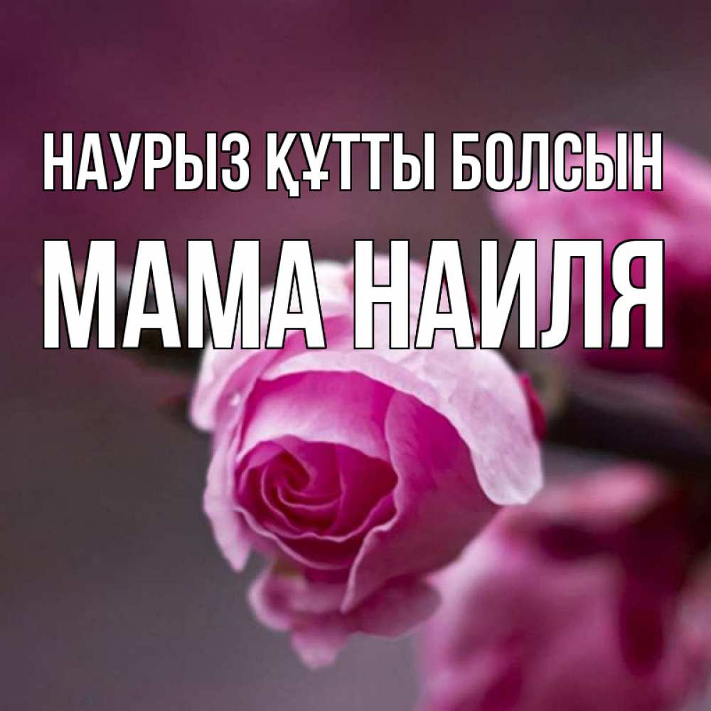 Открытка на каждый день с именем, Мама-Наиля Наурыз құтты болсын весна Прикольная открытка с пожеланием онлайн скачать бесплатно 