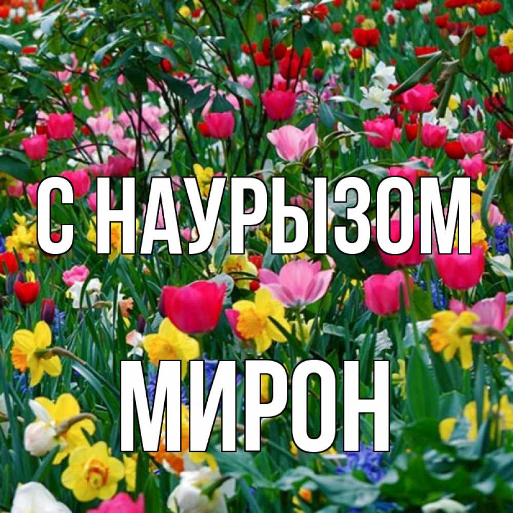 Открытка на каждый день с именем, Мирон С наурызом с наурызом праздником весны поздравления для женщины Прикольная открытка с пожеланием онлайн скачать бесплатно 