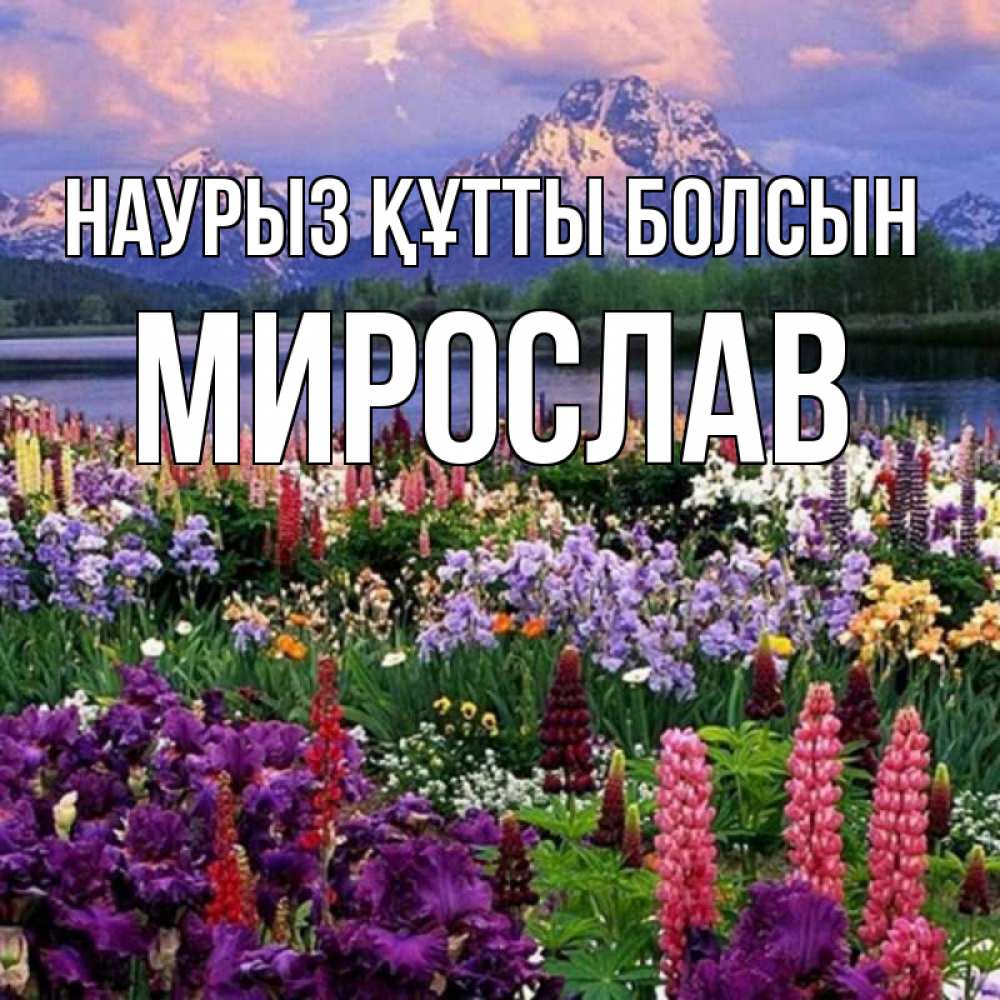 Открытка на каждый день с именем, Мирослав Наурыз құтты болсын наурыз Прикольная открытка с пожеланием онлайн скачать бесплатно 