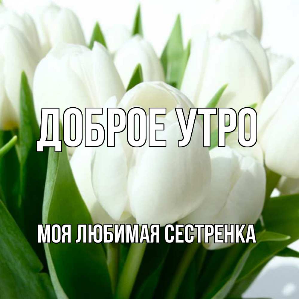 Открытка на каждый день с именем, Моя-любимая-сестренка Доброе утро открытки на каждый день по именам Прикольная открытка с пожеланием онлайн скачать бесплатно 