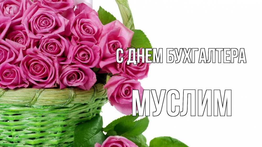 Открытка на каждый день с именем, Муслим С днем бухгалтера с днем бухгалтера Прикольная открытка с пожеланием онлайн скачать бесплатно 