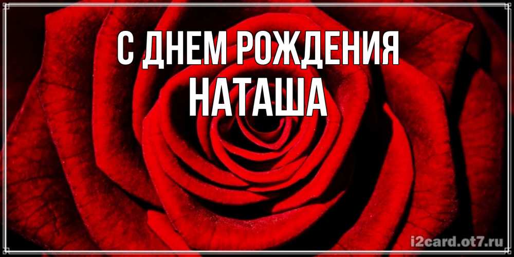 Открытка на каждый день с именем, Наташа С днем рождения алая роза Прикольная открытка с пожеланием онлайн скачать бесплатно 