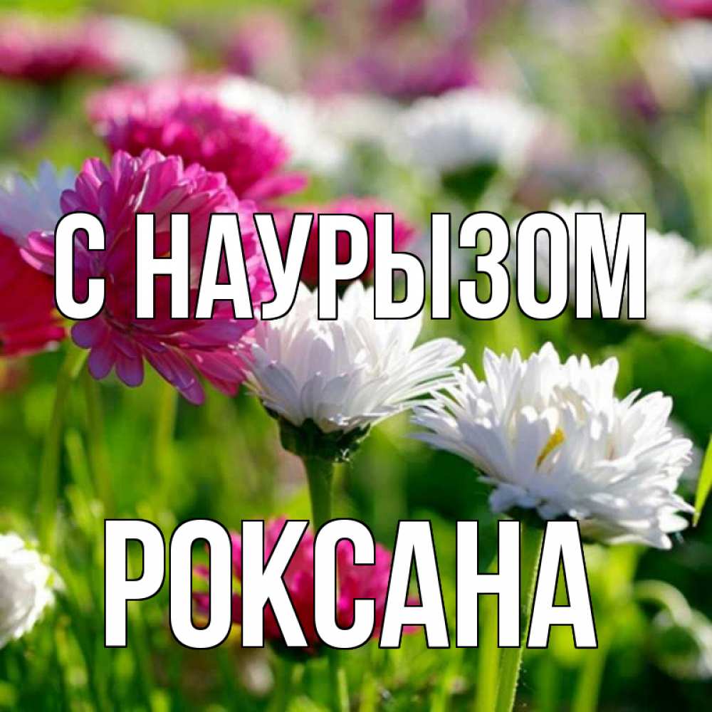 Открытка на каждый день с именем, Роксана С наурызом праздник весны наурыз красота Прикольная открытка с пожеланием онлайн скачать бесплатно 