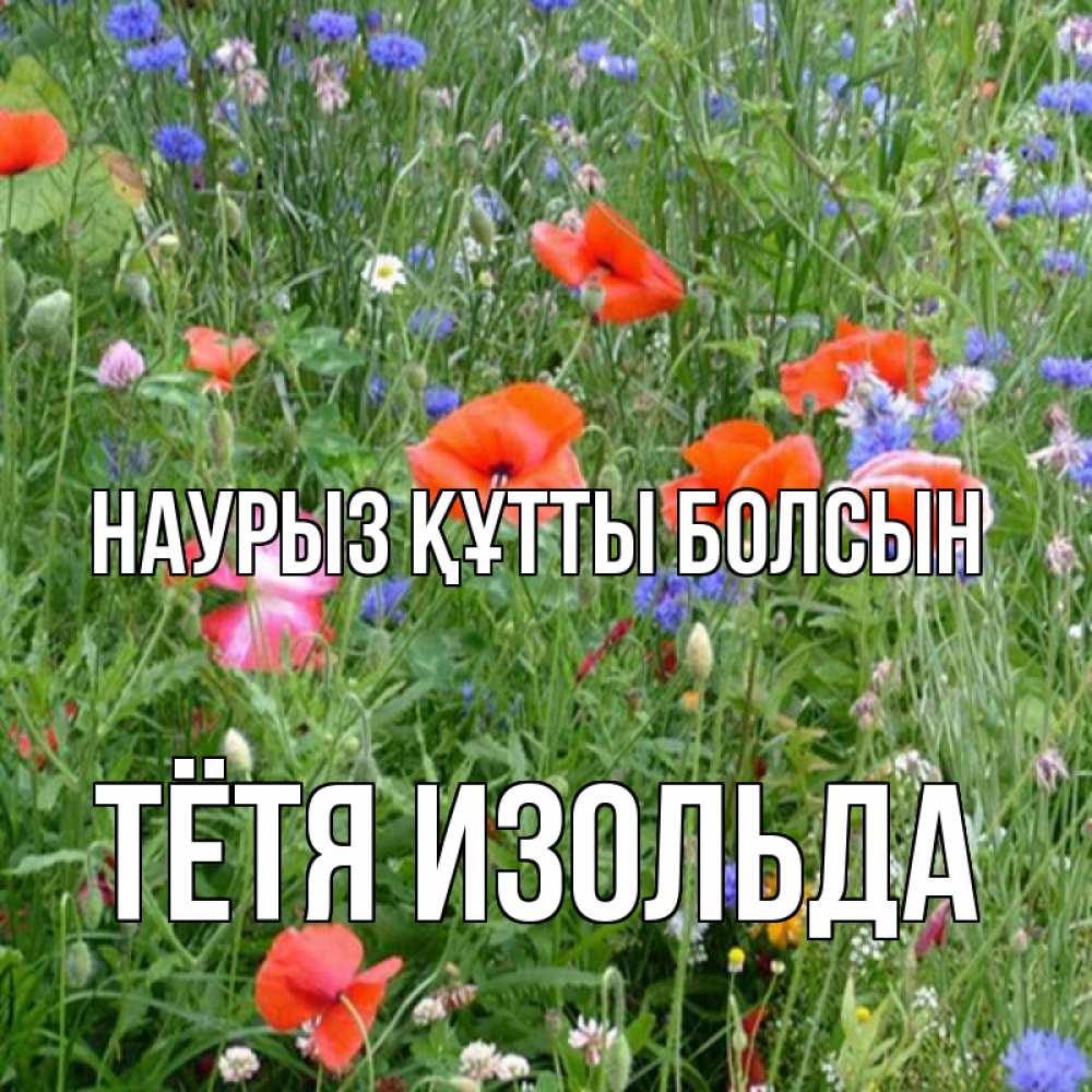Открытка на каждый день с именем, Тётя-Изольда Наурыз құтты болсын наурыз  4 Прикольная открытка с пожеланием онлайн скачать бесплатно 