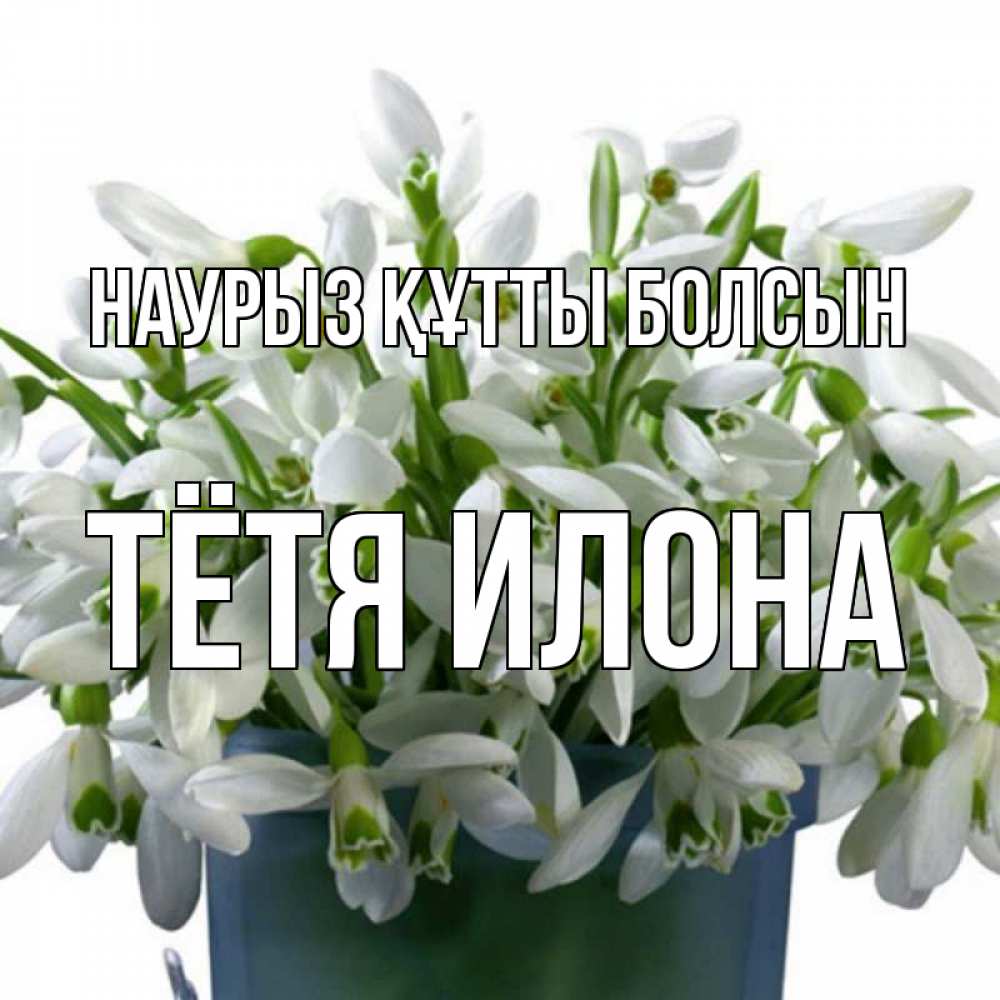 Открытка на каждый день с именем, Тётя-Илона Наурыз құтты болсын цветы к наурызу Прикольная открытка с пожеланием онлайн скачать бесплатно 