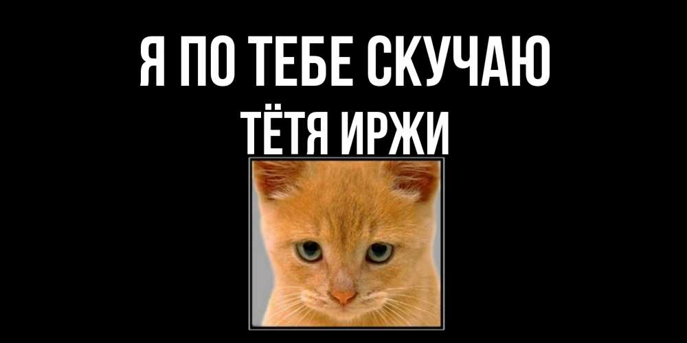 Открытка на каждый день с именем, Тётя-Иржи Я по тебе скучаю открытки рыжий котенок скучает по тебе Прикольная открытка с пожеланием онлайн скачать бесплатно 