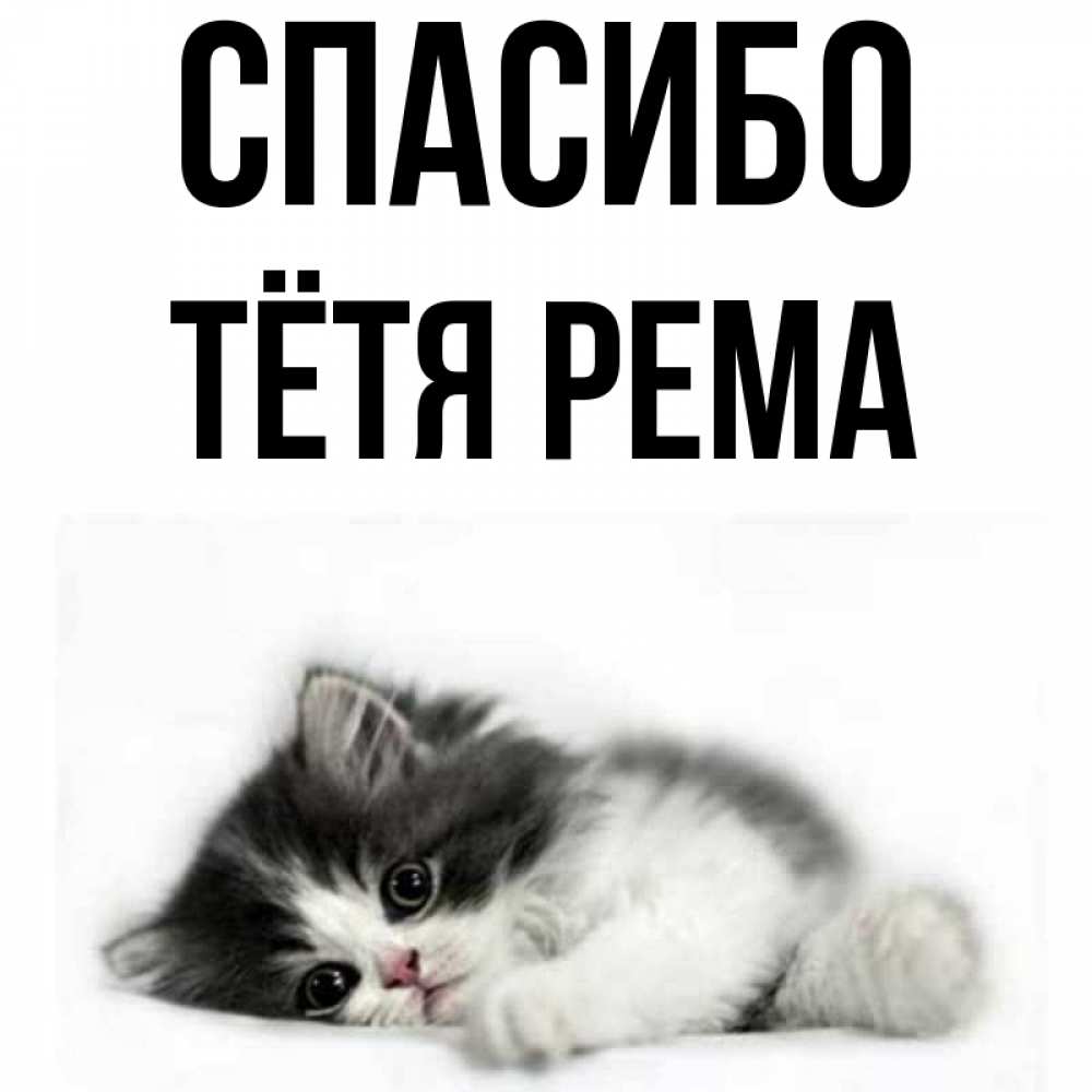 Открытка на каждый день с именем, Тётя-Рема Спасибо черный и белый кот Прикольная открытка с пожеланием онлайн скачать бесплатно 