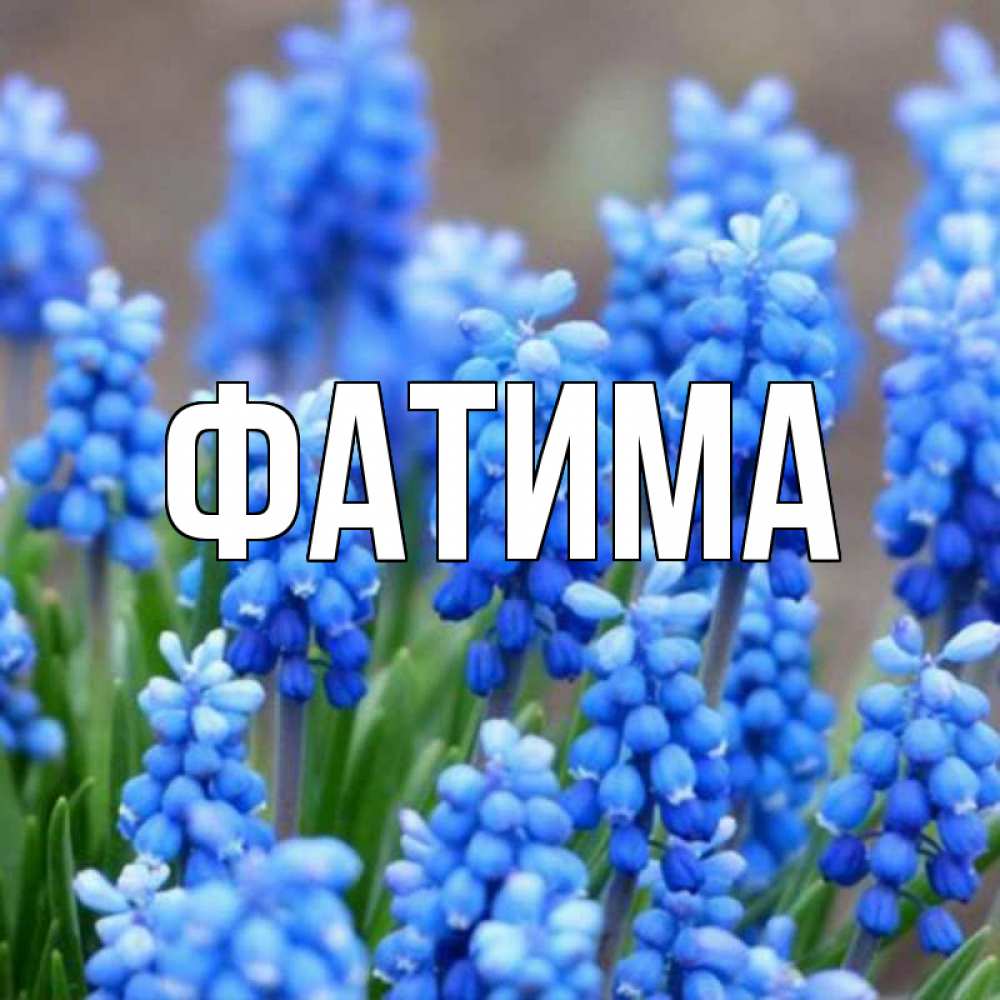 Открытка на каждый день с именем, Фатима Главная Поздравительная открытка для женщин с цветами на праздничную дату Прикольная открытка с пожеланием онлайн скачать бесплатно 