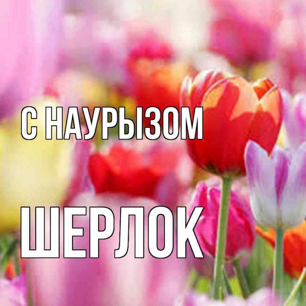 Открытка на каждый день с именем, Шерлок С наурызом праздник весны наурыз 67 Прикольная открытка с пожеланием онлайн скачать бесплатно 