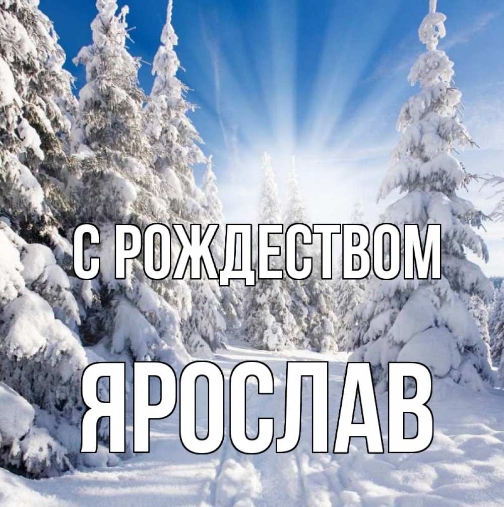 Открытка на каждый день с именем, Ярослав С рождеством зима, лес Прикольная открытка с пожеланием онлайн скачать бесплатно 