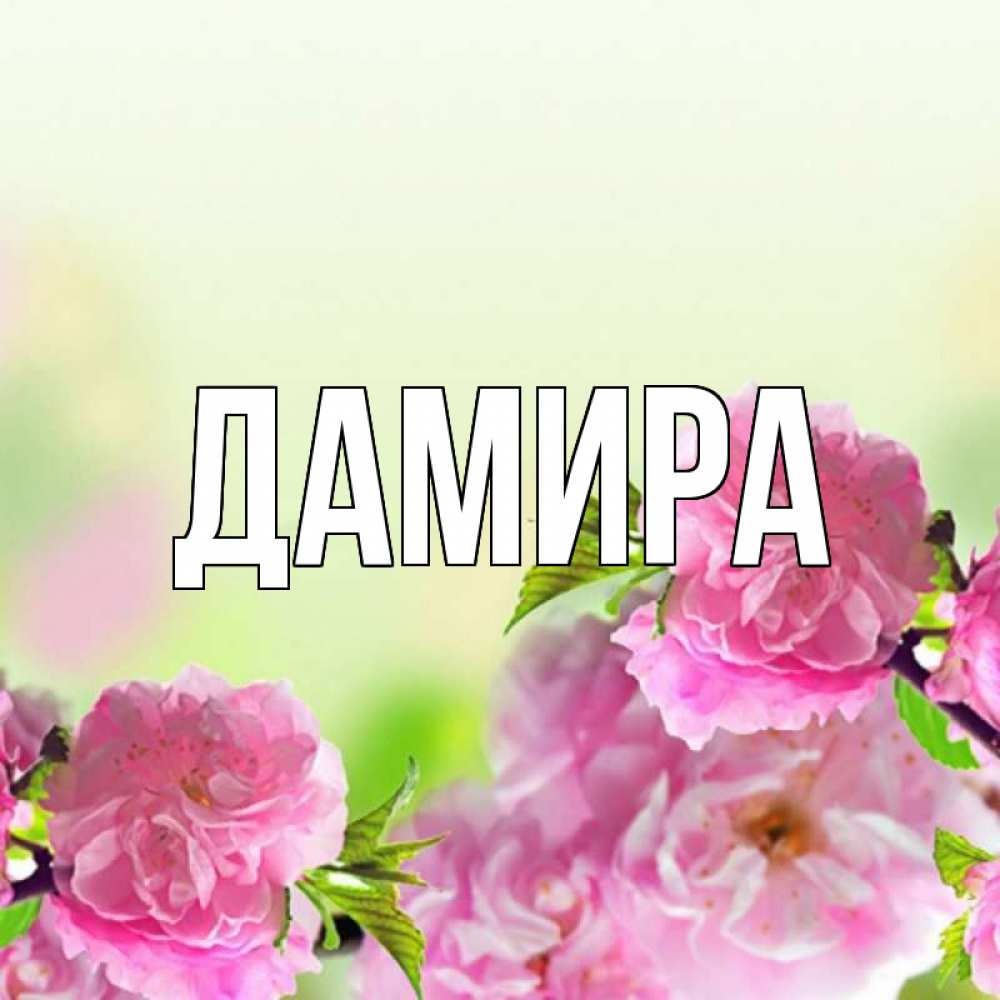 Марина владимировна с днем рождения
