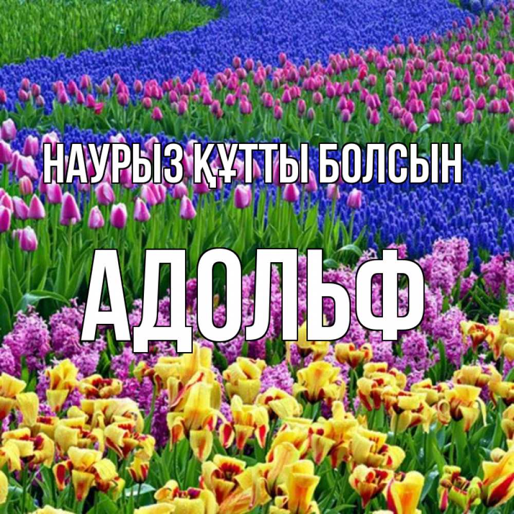 Открытка на каждый день с именем, Адольф Наурыз құтты болсын цветы Прикольная открытка с пожеланием онлайн скачать бесплатно 