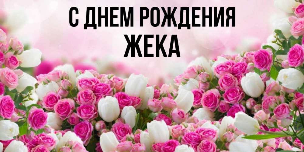 Открытка на каждый день с именем, Жека С днем рождения открытка с разными розами Прикольная открытка с пожеланием онлайн скачать бесплатно 