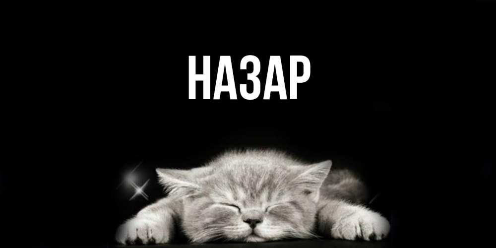 Открытка на каждый день с именем, Назар Главная спящий котик Прикольная открытка с пожеланием онлайн скачать бесплатно 