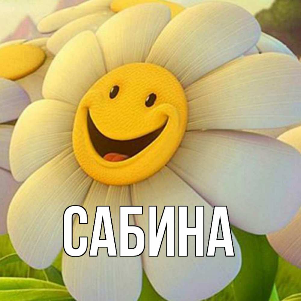 Открытка на каждый день с именем, Сабина Главная огромная улыбающаяся ромашуща Прикольная открытка с пожеланием онлайн скачать бесплатно 