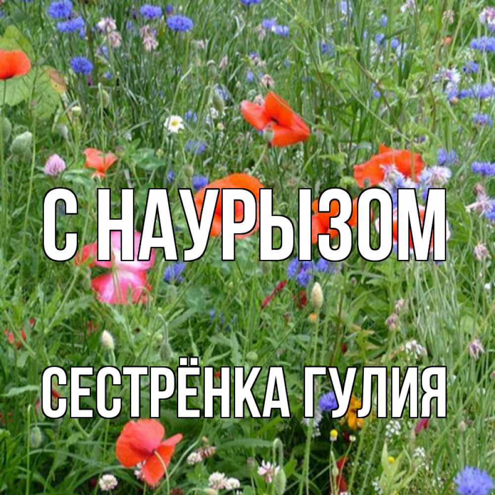 Открытка на каждый день с именем, Сестрёнка-Гулия С наурызом праздник весны наурыз супер открытка Прикольная открытка с пожеланием онлайн скачать бесплатно 