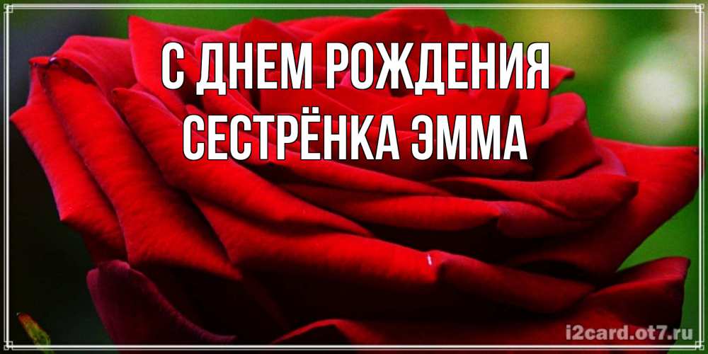 Открытка на каждый день с именем, Сестрёнка-Эмма С днем рождения розочка очень красивая Прикольная открытка с пожеланием онлайн скачать бесплатно 
