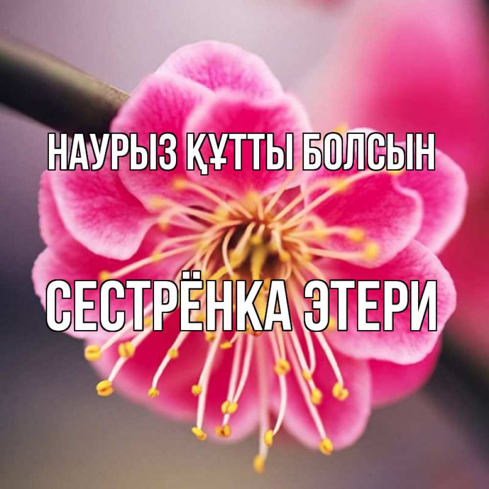 Открытка на каждый день с именем, Сестрёнка-Этери Наурыз құтты болсын цветы Прикольная открытка с пожеланием онлайн скачать бесплатно 