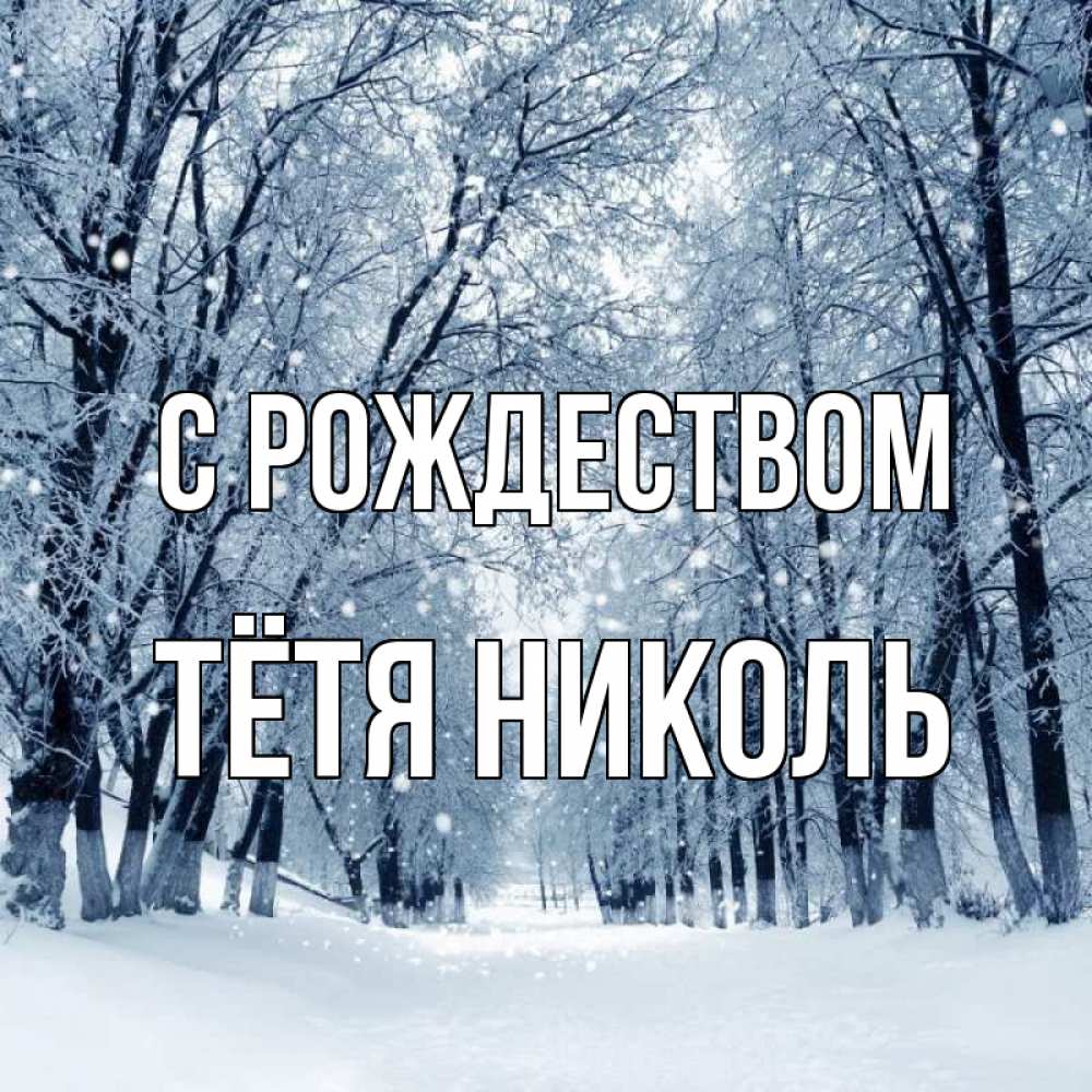 Открытка на каждый день с именем, Тётя-Николь С рождеством снег, лес, парк Прикольная открытка с пожеланием онлайн скачать бесплатно 