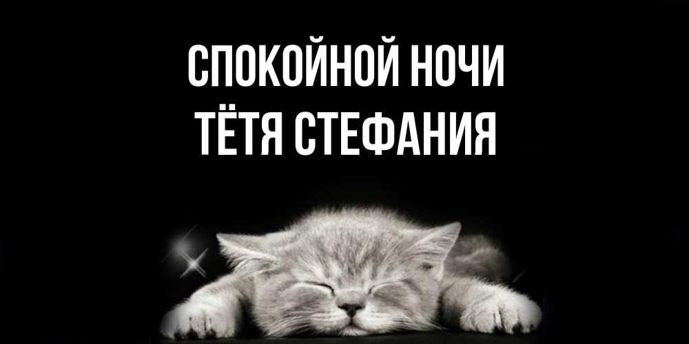 Открытка на каждый день с именем, Тётя-Стефания Спокойной ночи спящий котик Прикольная открытка с пожеланием онлайн скачать бесплатно 