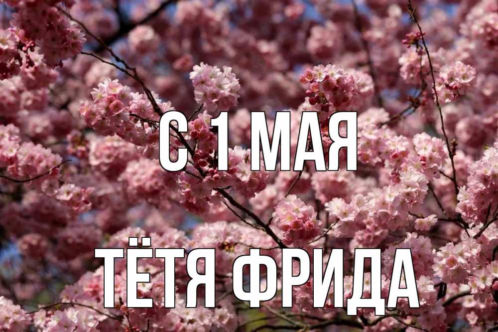 Открытка на каждый день с именем, Тётя-Фрида С 1 мая С 1 мая Прикольная открытка с пожеланием онлайн скачать бесплатно 