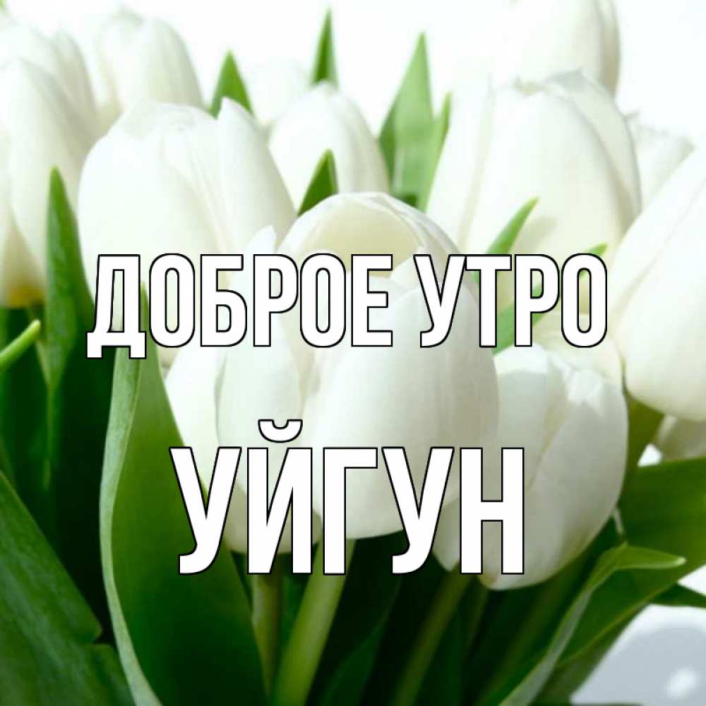 Картинка Доброе утро, Уйгун